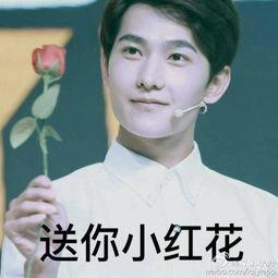 杨洋和狗狗表情包,萌宠与偶像的欢乐碰撞