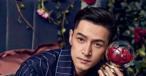 胡歌娱乐圈同人小说,娱乐圈的璀璨星辰