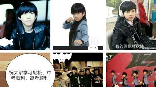 林秋楠明星,星光璀璨的影视新星，演绎人生百态