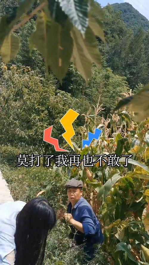 搞笑掰棒子视频