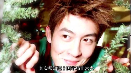 受争议明星,揭秘其背后的真相与影响”