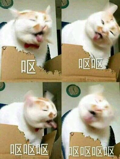 解剖 表情包,揭秘面部表情背后的秘密