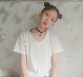 敷淼个人资料,探寻神秘面纱下的科技奇才